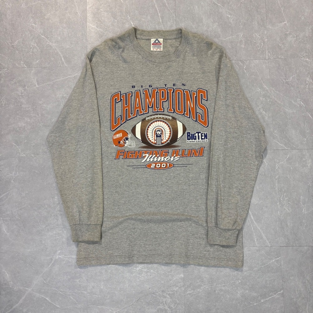 Vintage 2001 Illinois Fighting Illini Big Ten Champions Gray Long Sleeve Shirt L